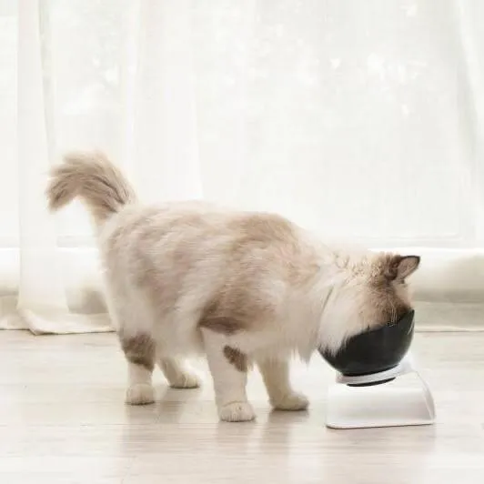 Anti-Vomiting Orthopedic Cat Bowl