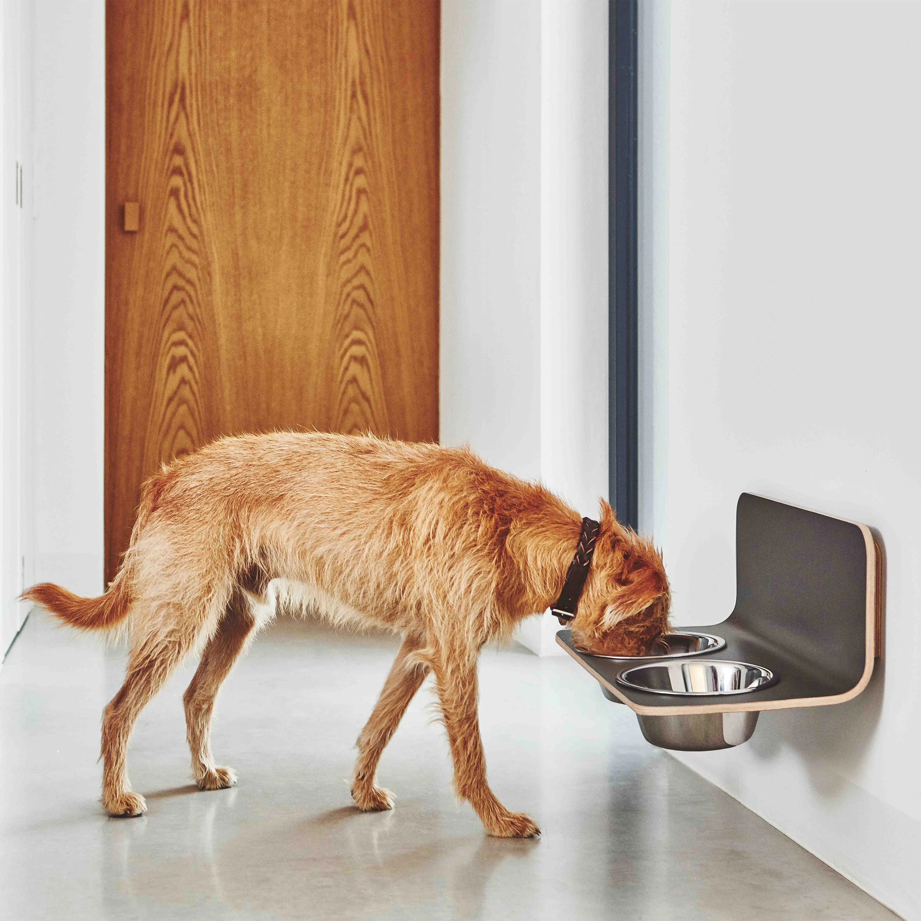 Arco Dog Feeder