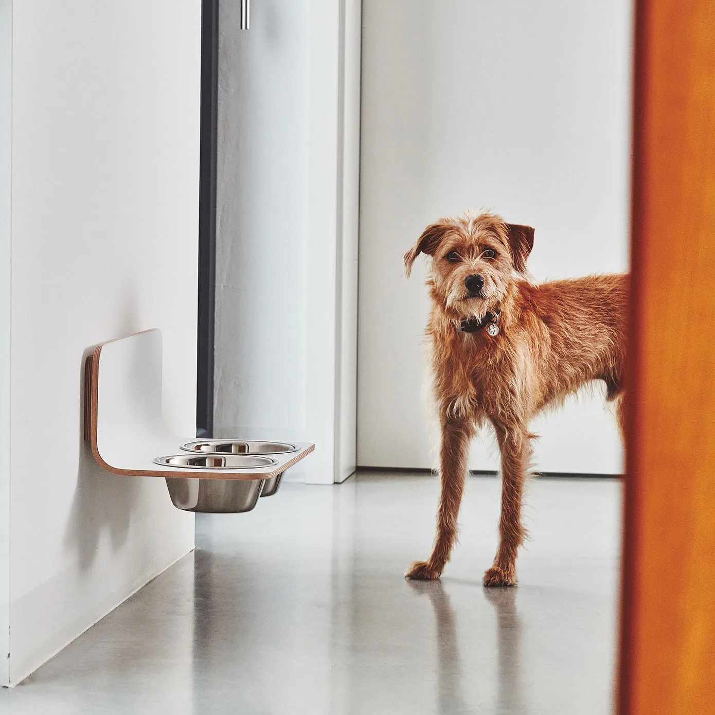 Arco Dog Feeder