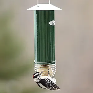 Automatic Suet Ball Feeder