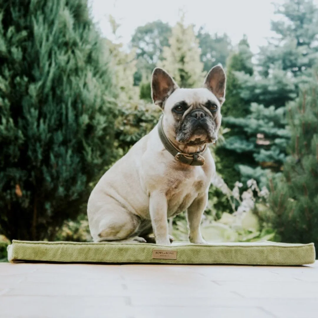 Bowl and Bone Olive Foam Dog Mat