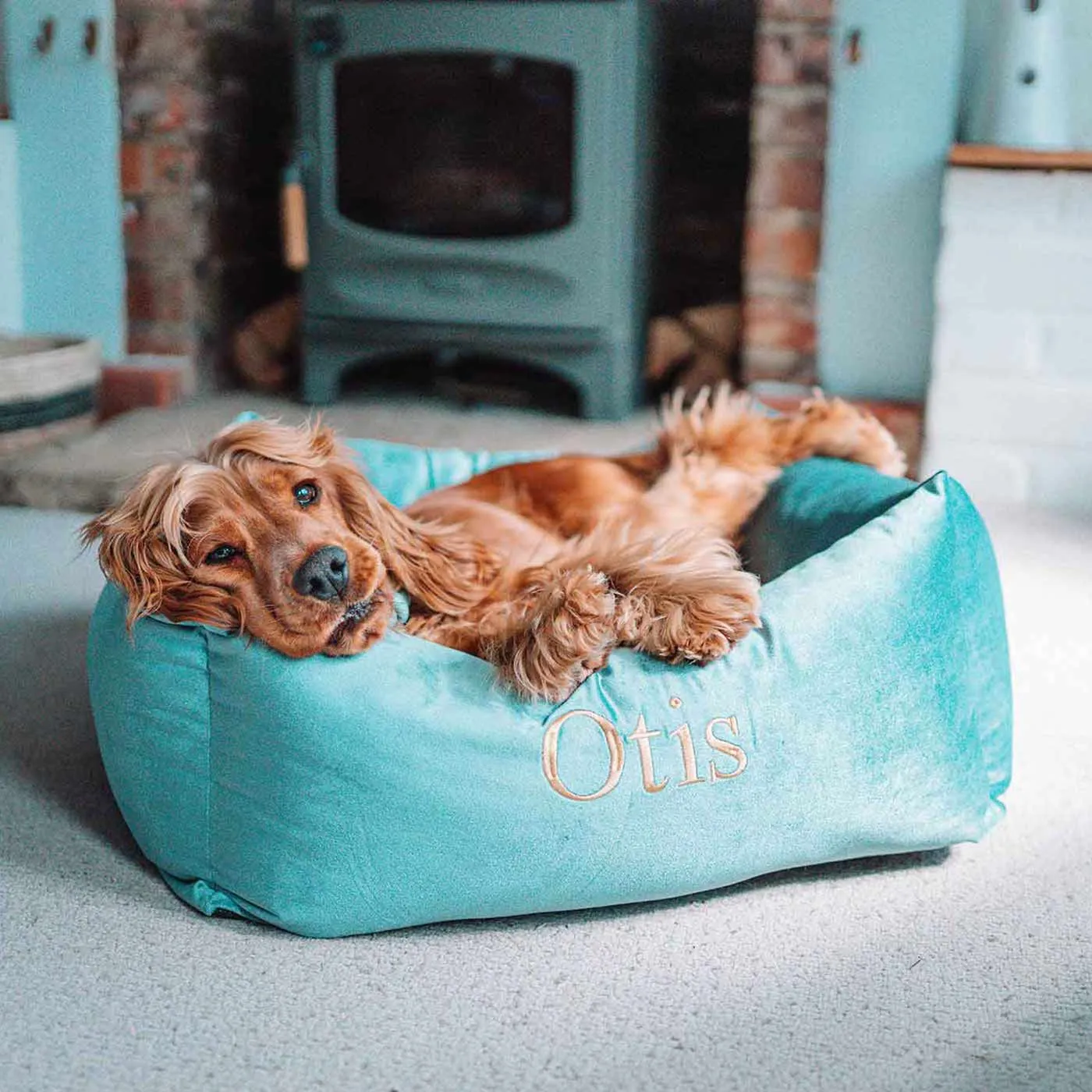 Box Bed For Dogs in Duck Egg Velvet by Lords & Labradors