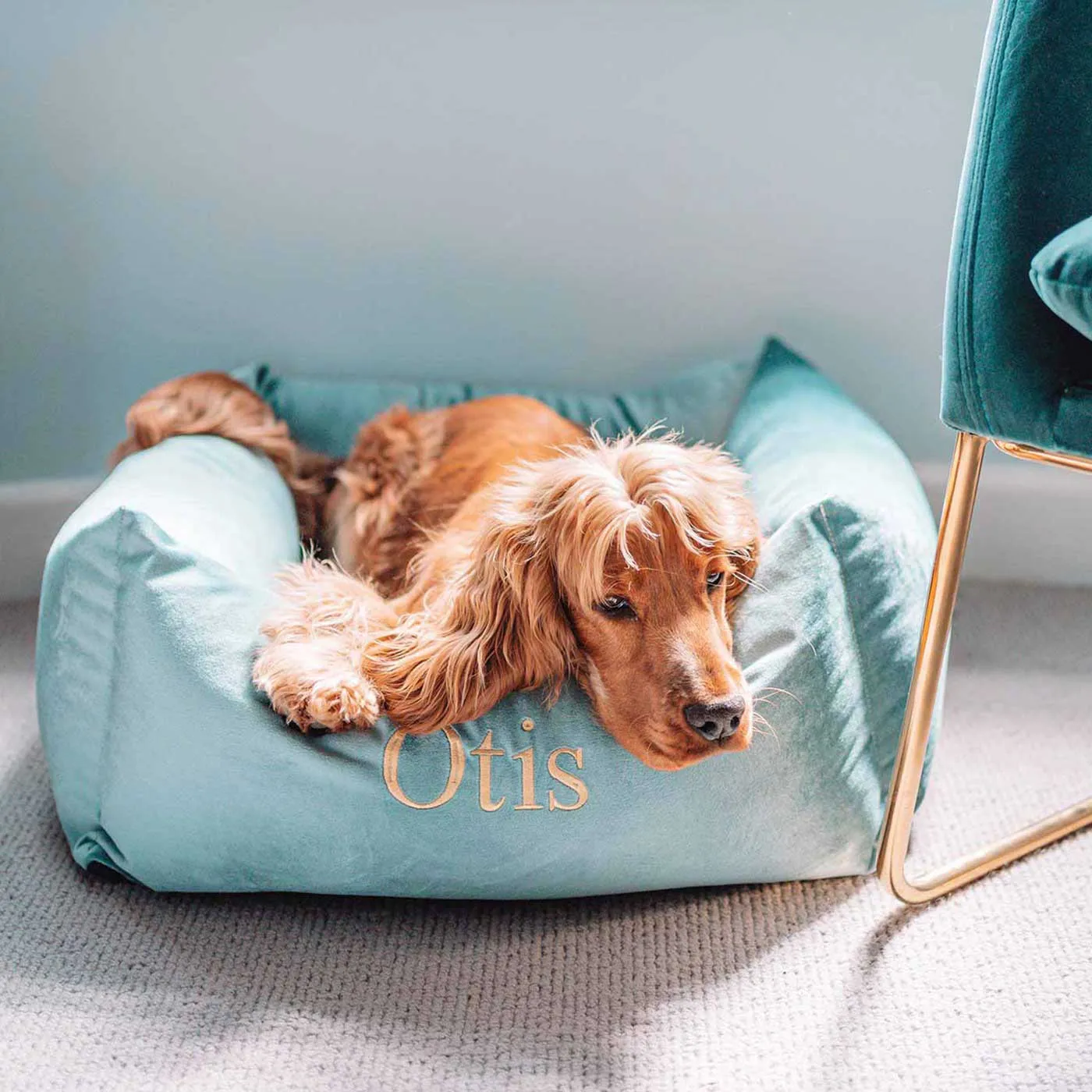 Box Bed For Dogs in Duck Egg Velvet by Lords & Labradors