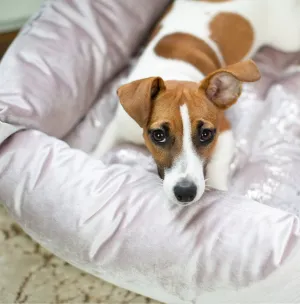 Box Bed For Dogs in Rose Gold Velvet by Lords & Labradors