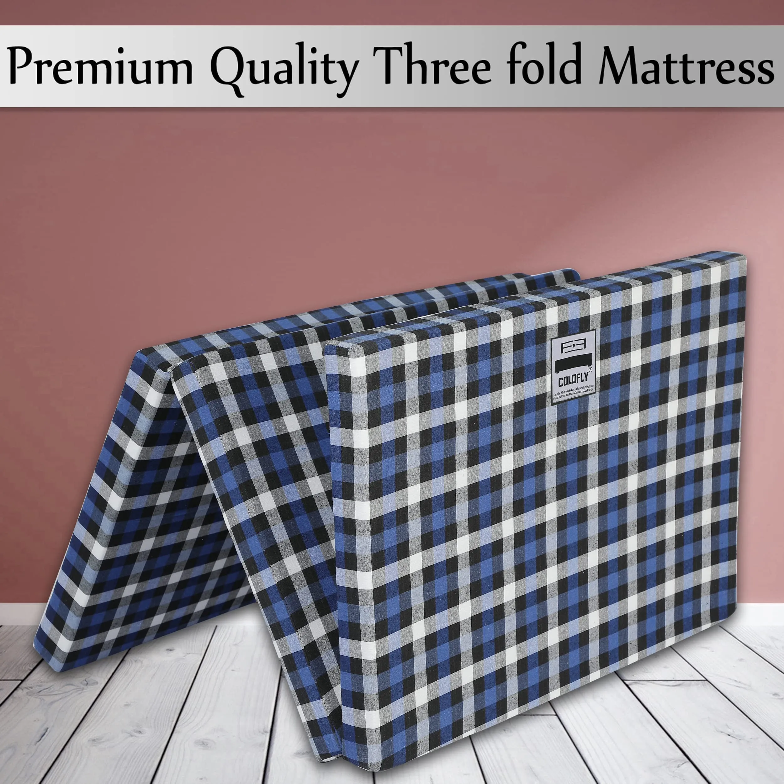 COLOFLY Foldable UHD Foam Three Fold Single Bed Reversible Mattress (Size - 72 x 35 x 2.5 Inches) Lightweight Gadda for Guests Travel Picnic - Blue & White