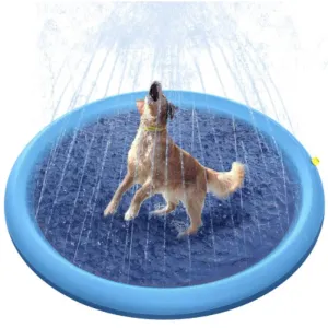 Dog Sprinkler Pool