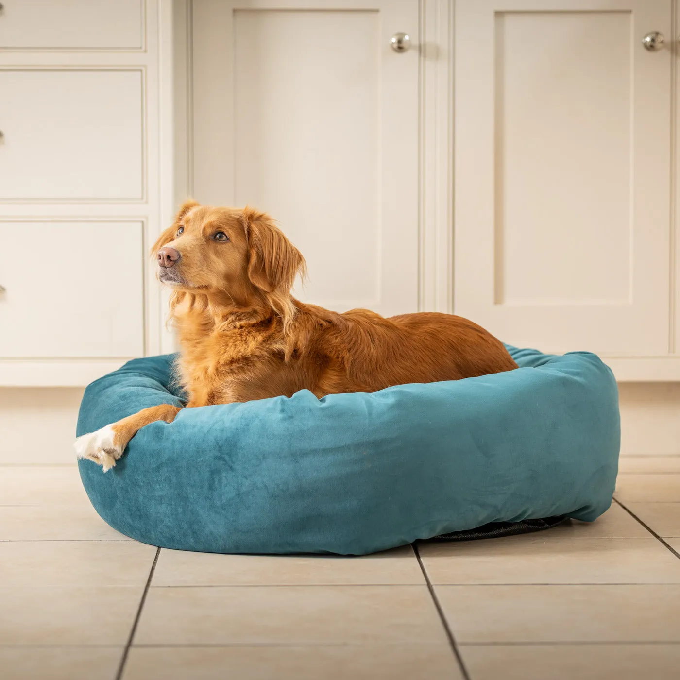 Donut Bed With Removable Covers in Marine Velvet by Lords & Labradors