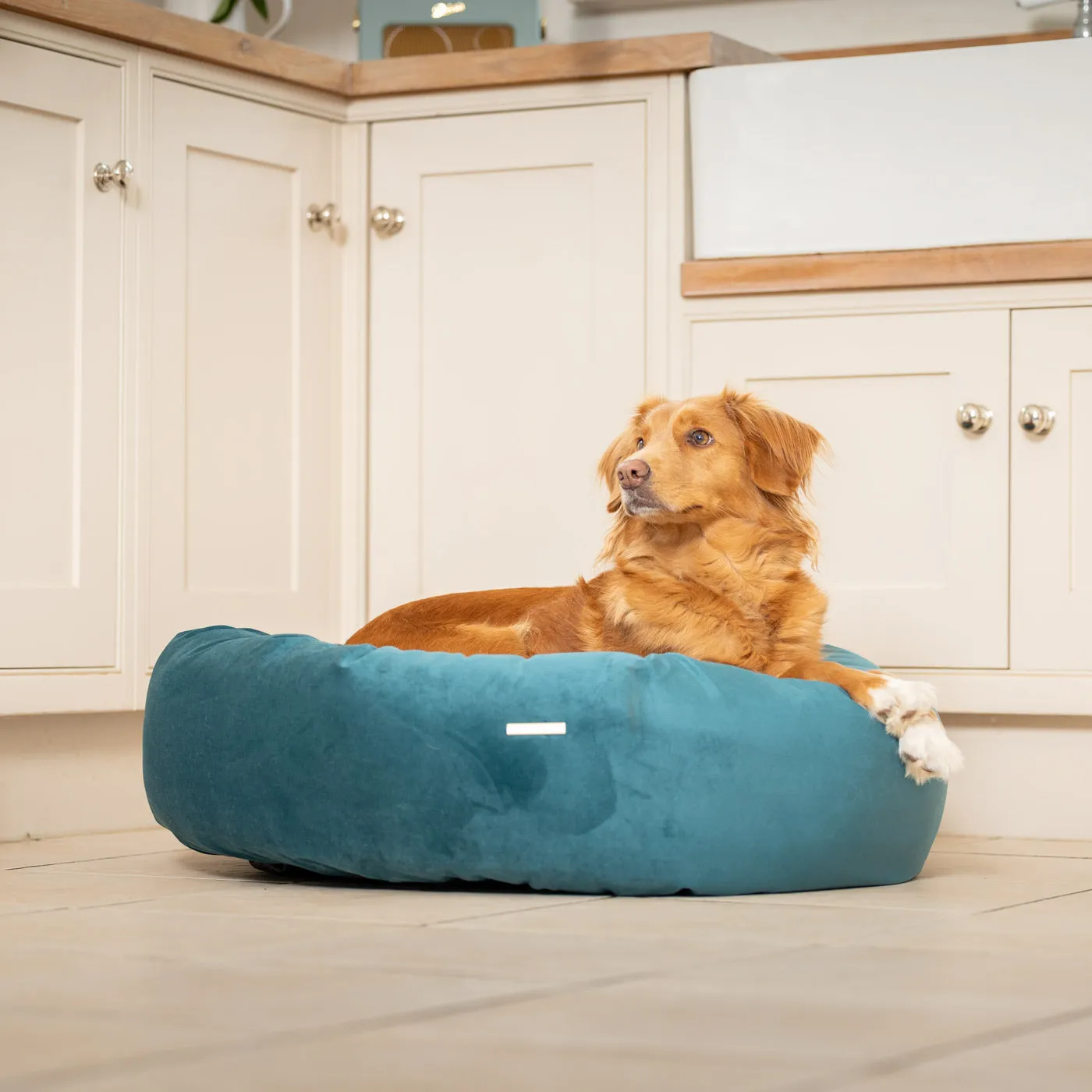 Donut Bed With Removable Covers in Marine Velvet by Lords & Labradors