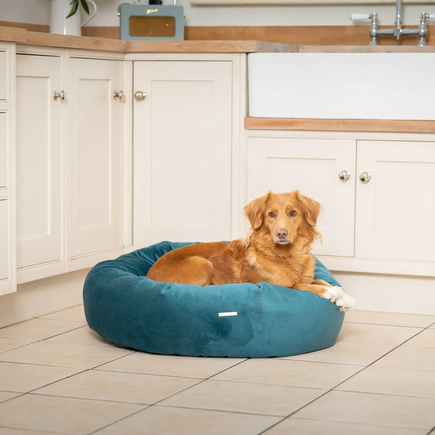 Donut Bed With Removable Covers in Marine Velvet by Lords & Labradors