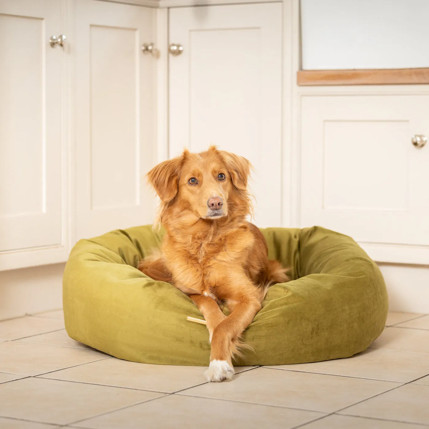 Donut Bed With Removable Covers in Olive Velvet by Lords & Labradors