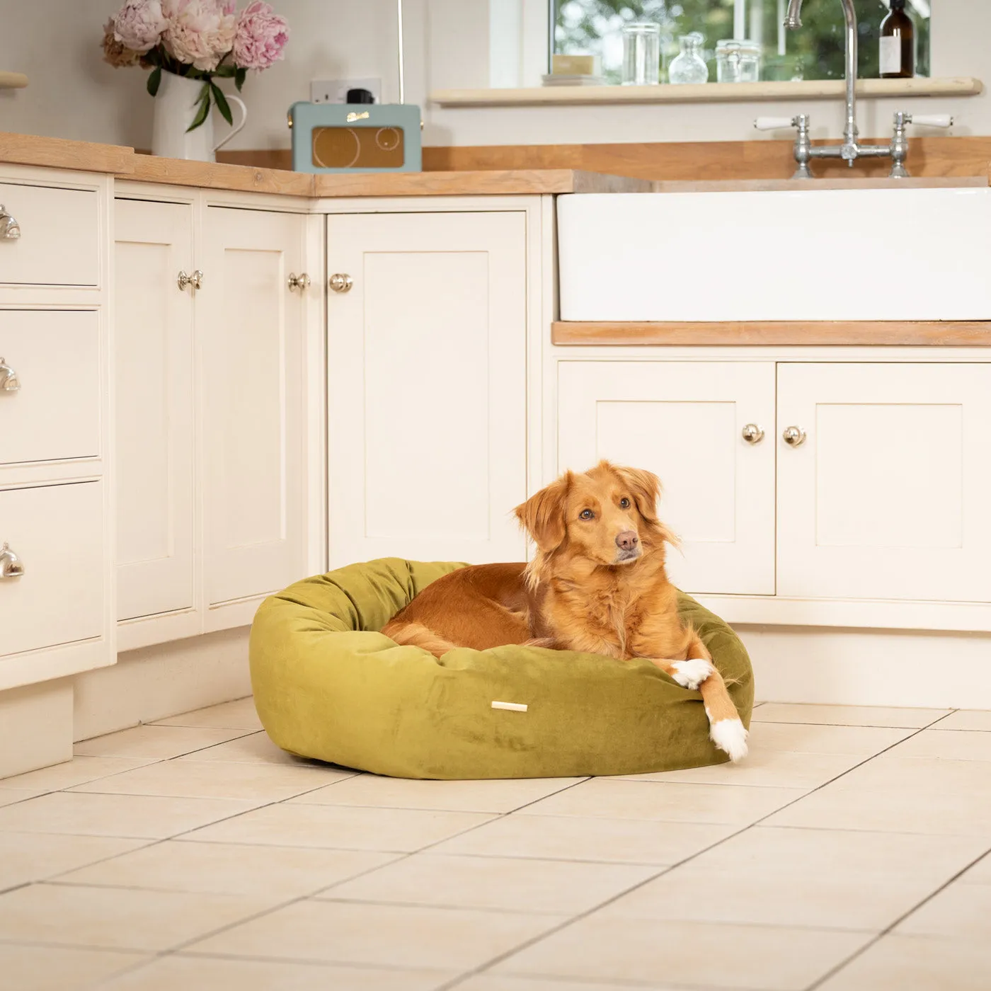 Donut Bed With Removable Covers in Olive Velvet by Lords & Labradors