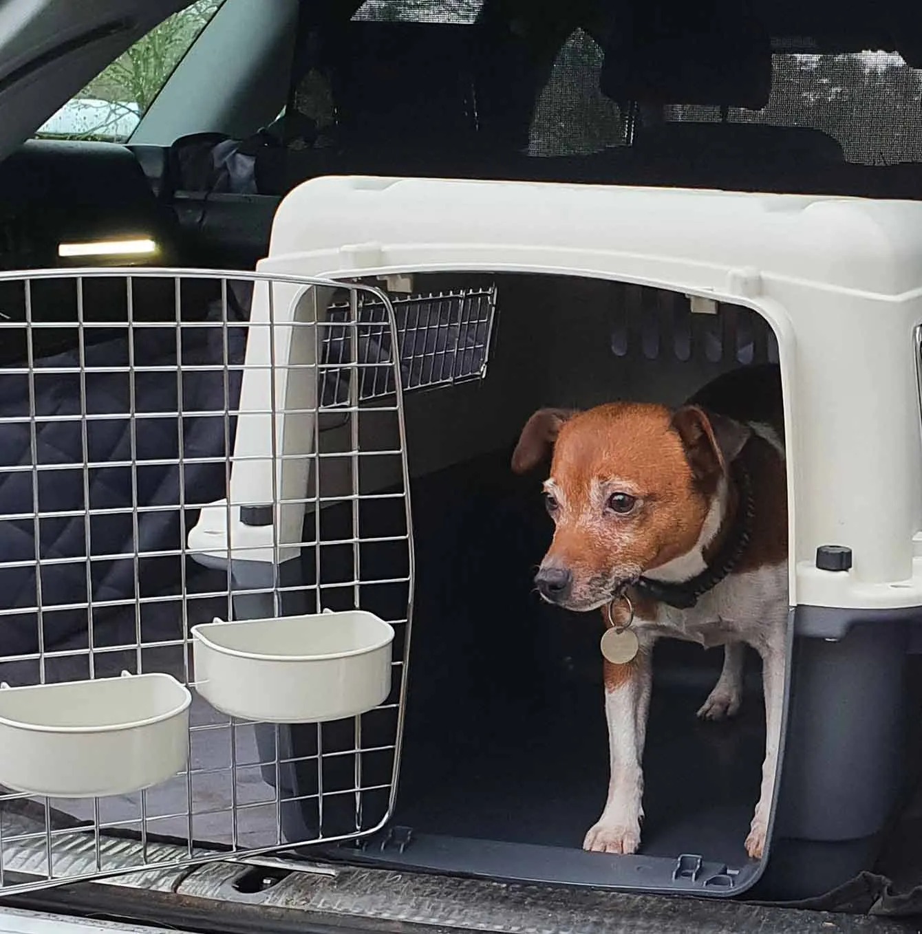 Henry Wag Air Kennel