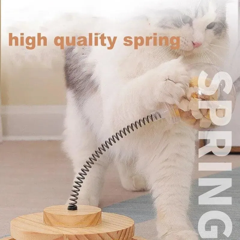 Interactive Tumbler Swing Toys for Cats