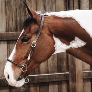 Kentucky Horsewear Leather Grooming Halter - Brown