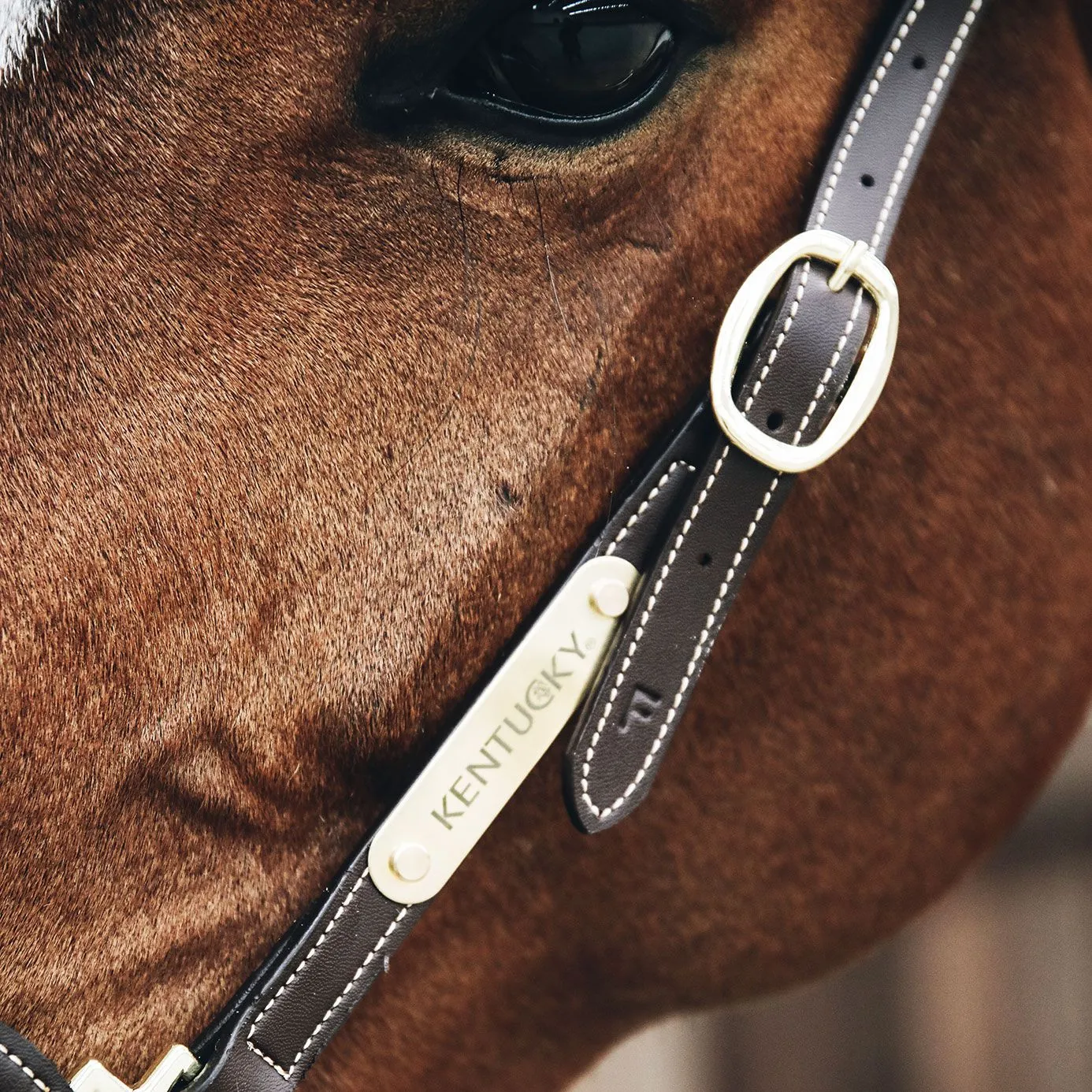 Kentucky Horsewear Leather Grooming Halter - Brown