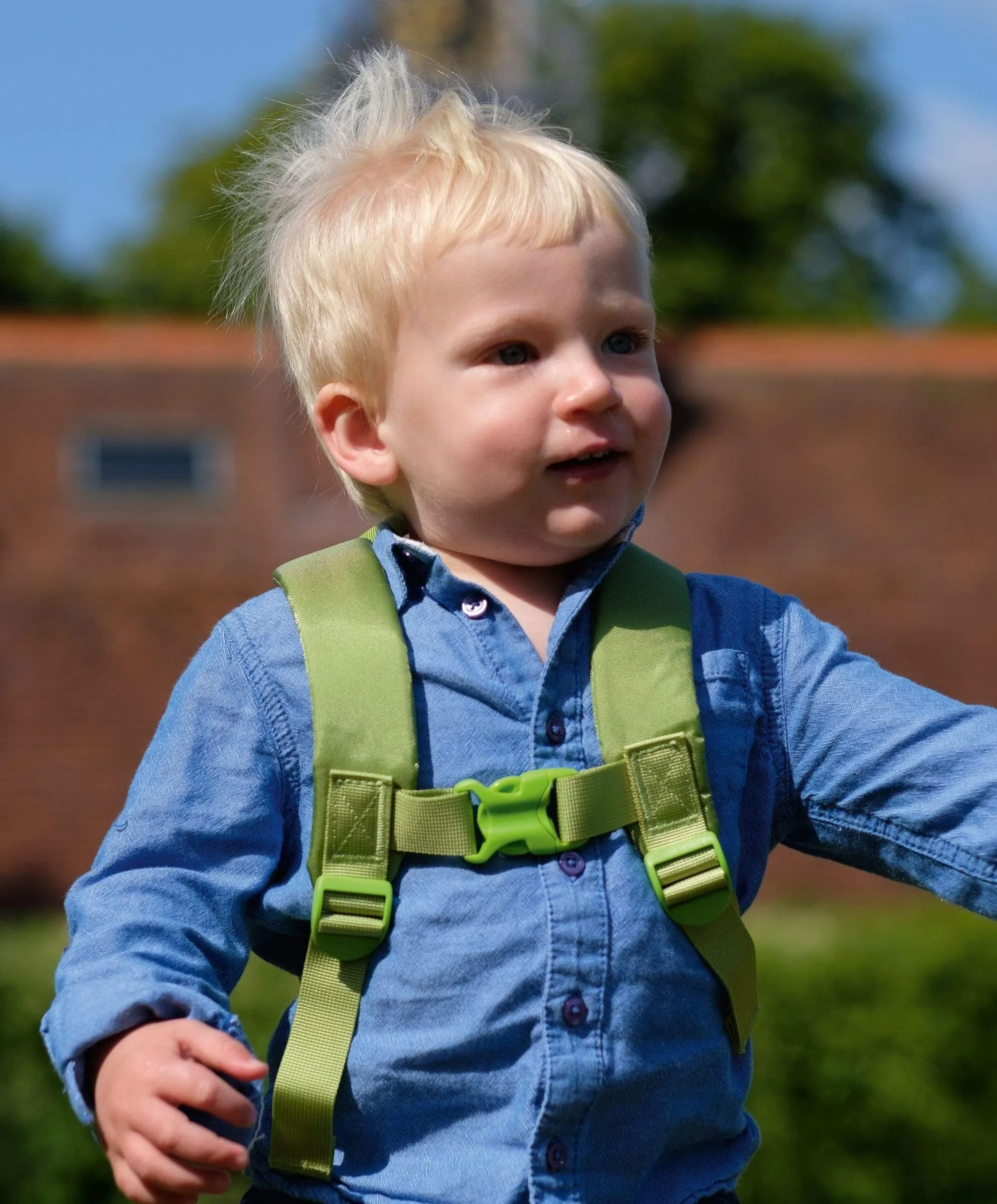 LittleLife Toddler Backpack - New Turtle