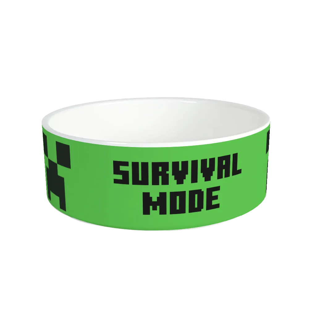 Minecraft Creeper Survival Mode Personalized Pet Bowl