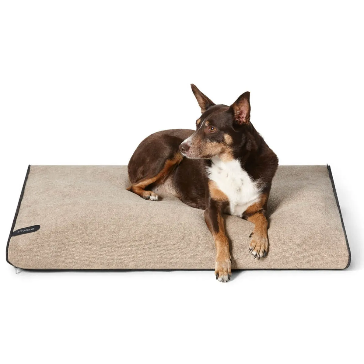 Modern Dog Daybed Cover