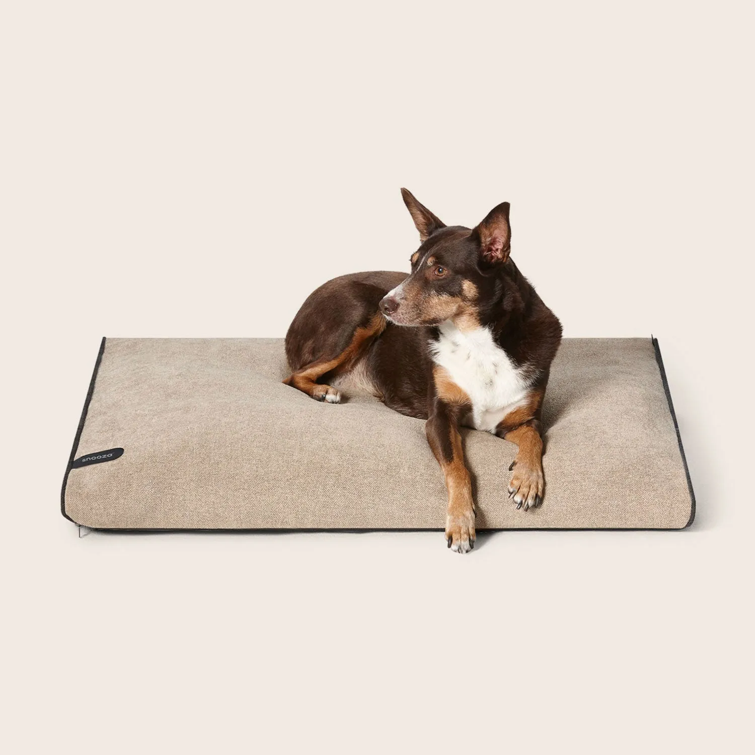 Modern Dog Daybed Cover