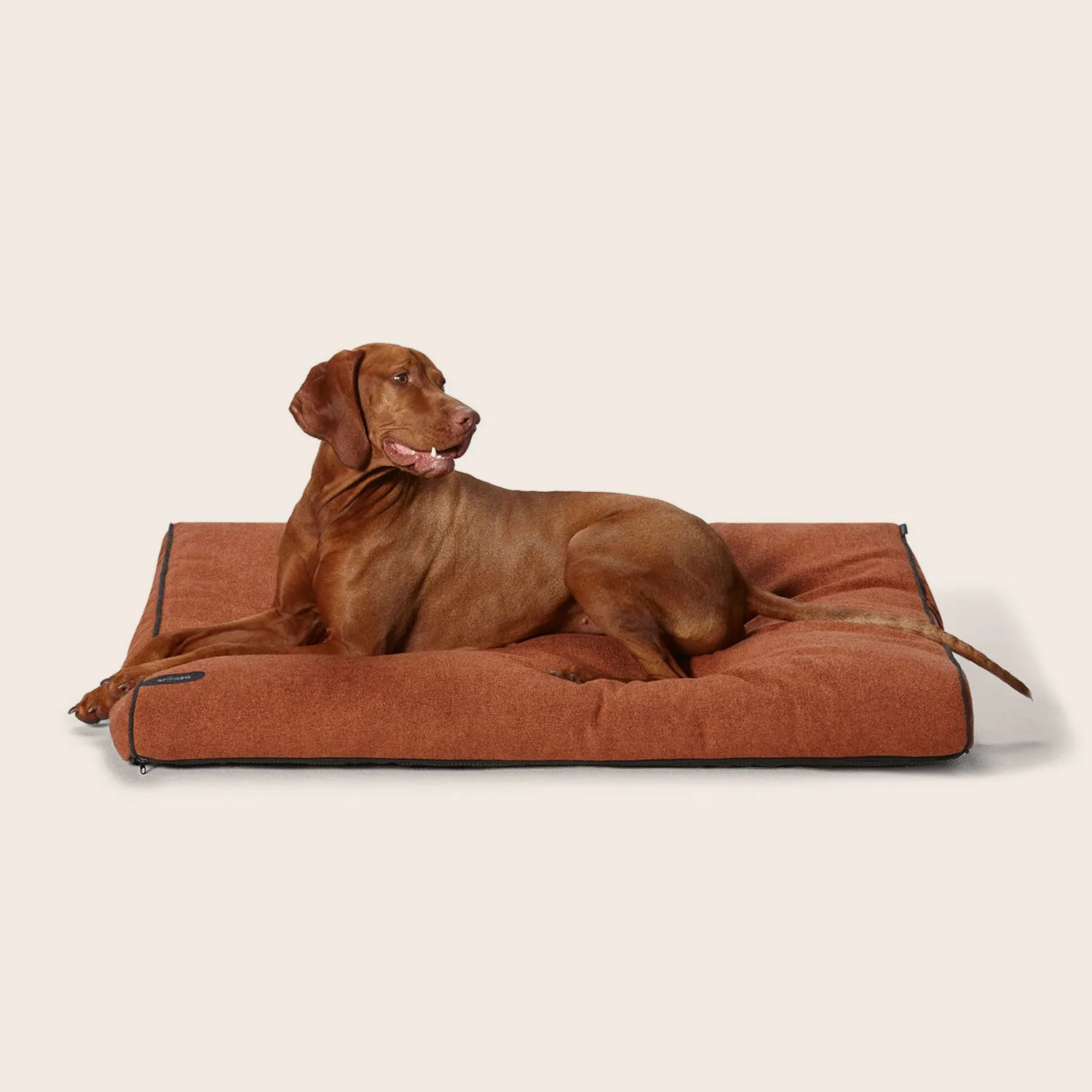 Modern Dog Daybed Cover