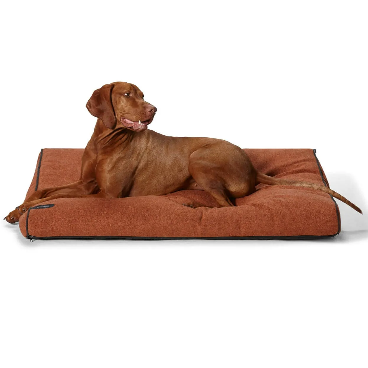 Modern Dog Daybed Cover