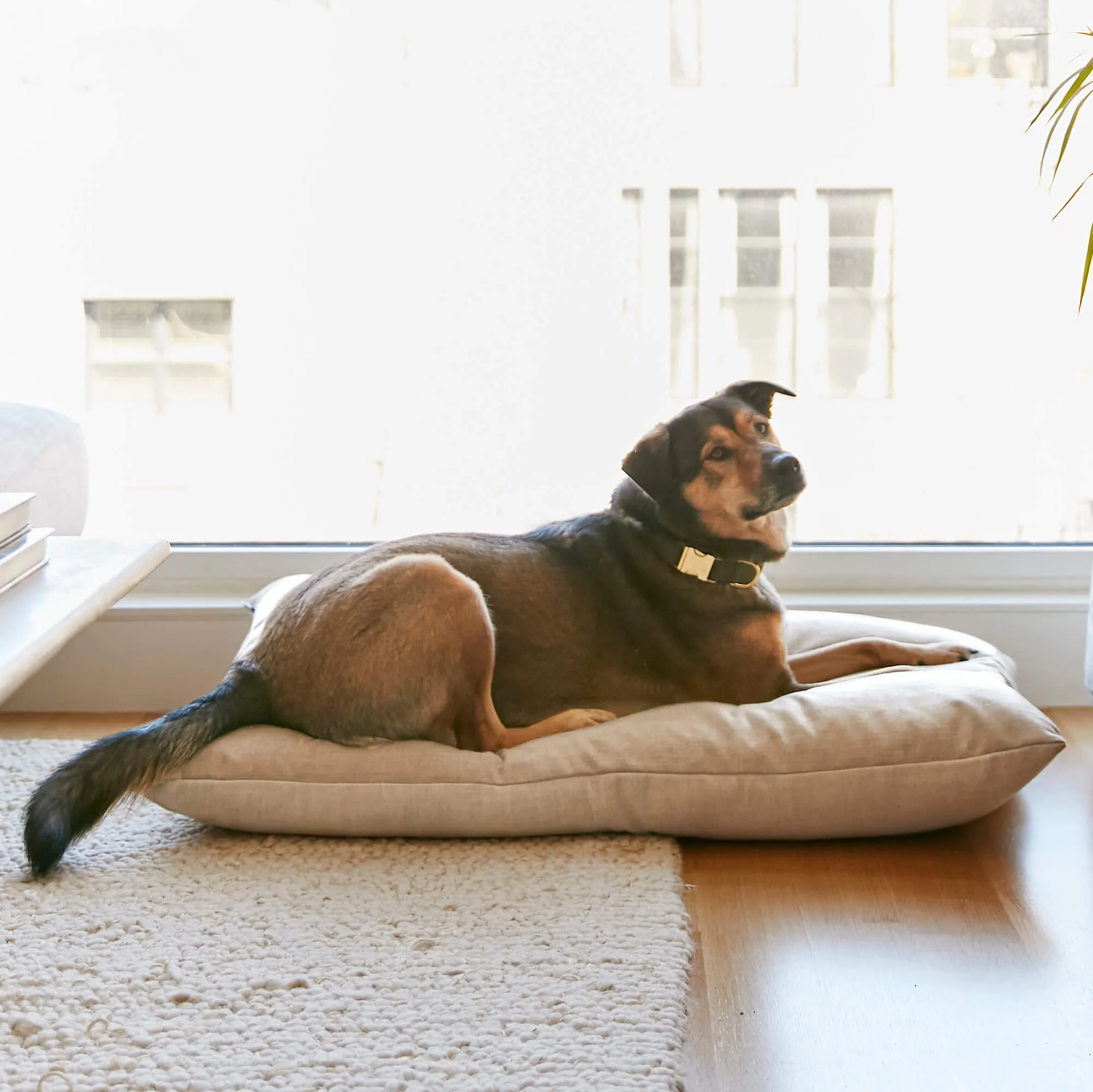 Natural Dog Bed