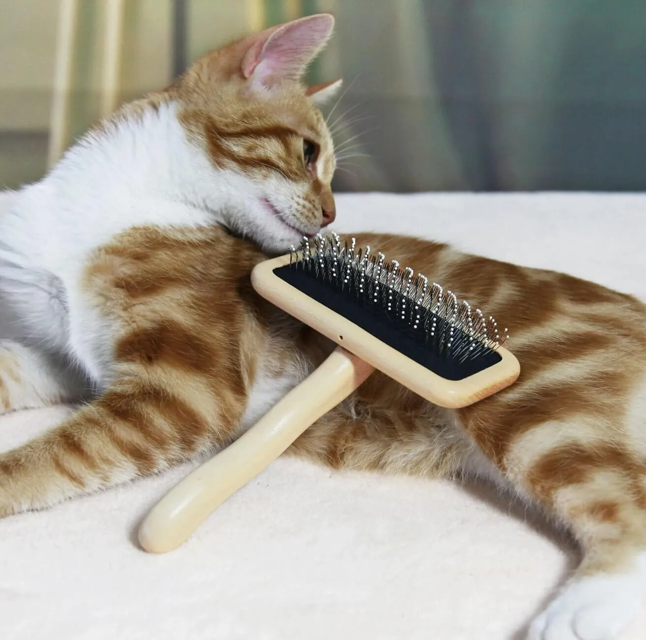 Pet Wooden Hair Comb Massage Brush for Dogs