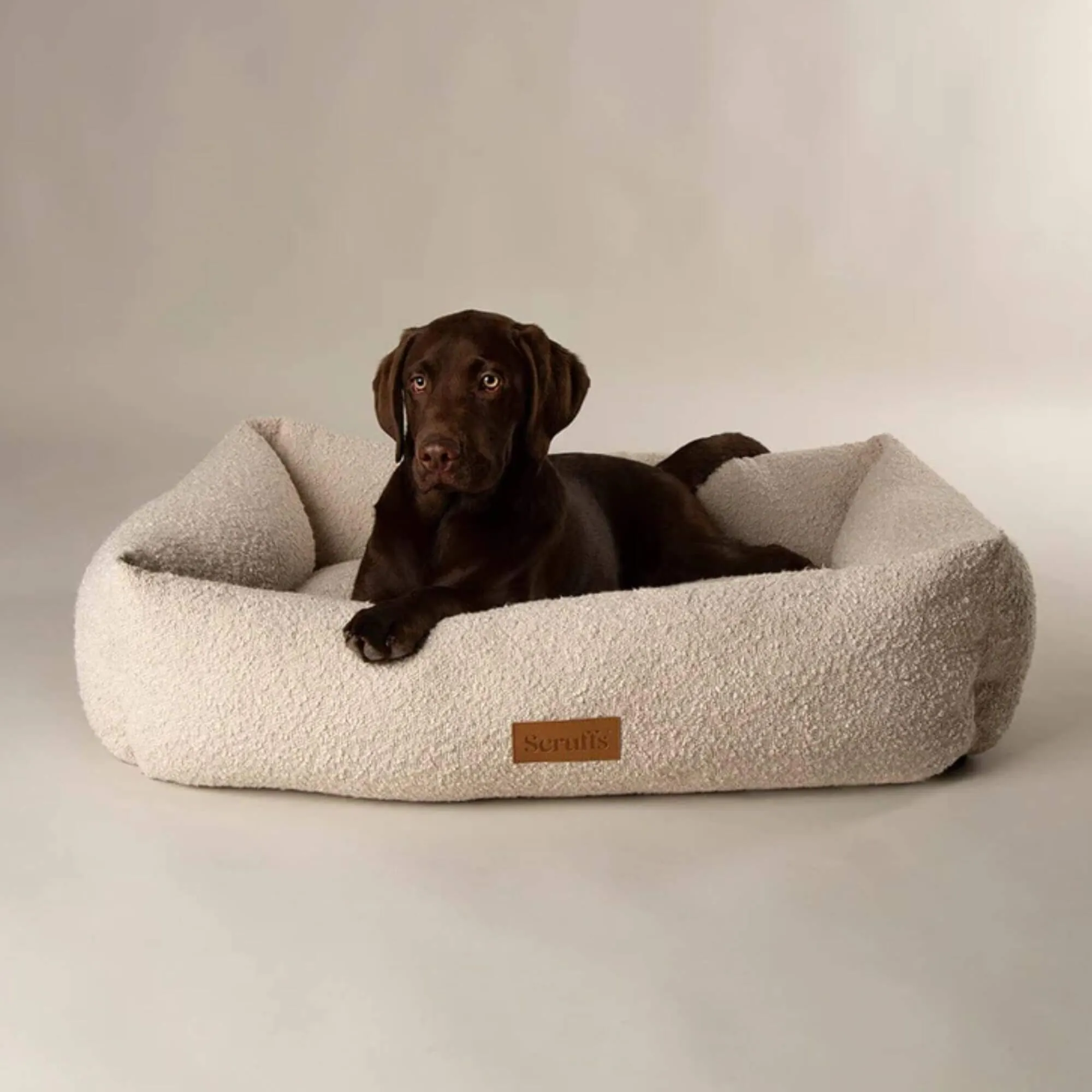 Scruffs Boucle Box Dog Bed