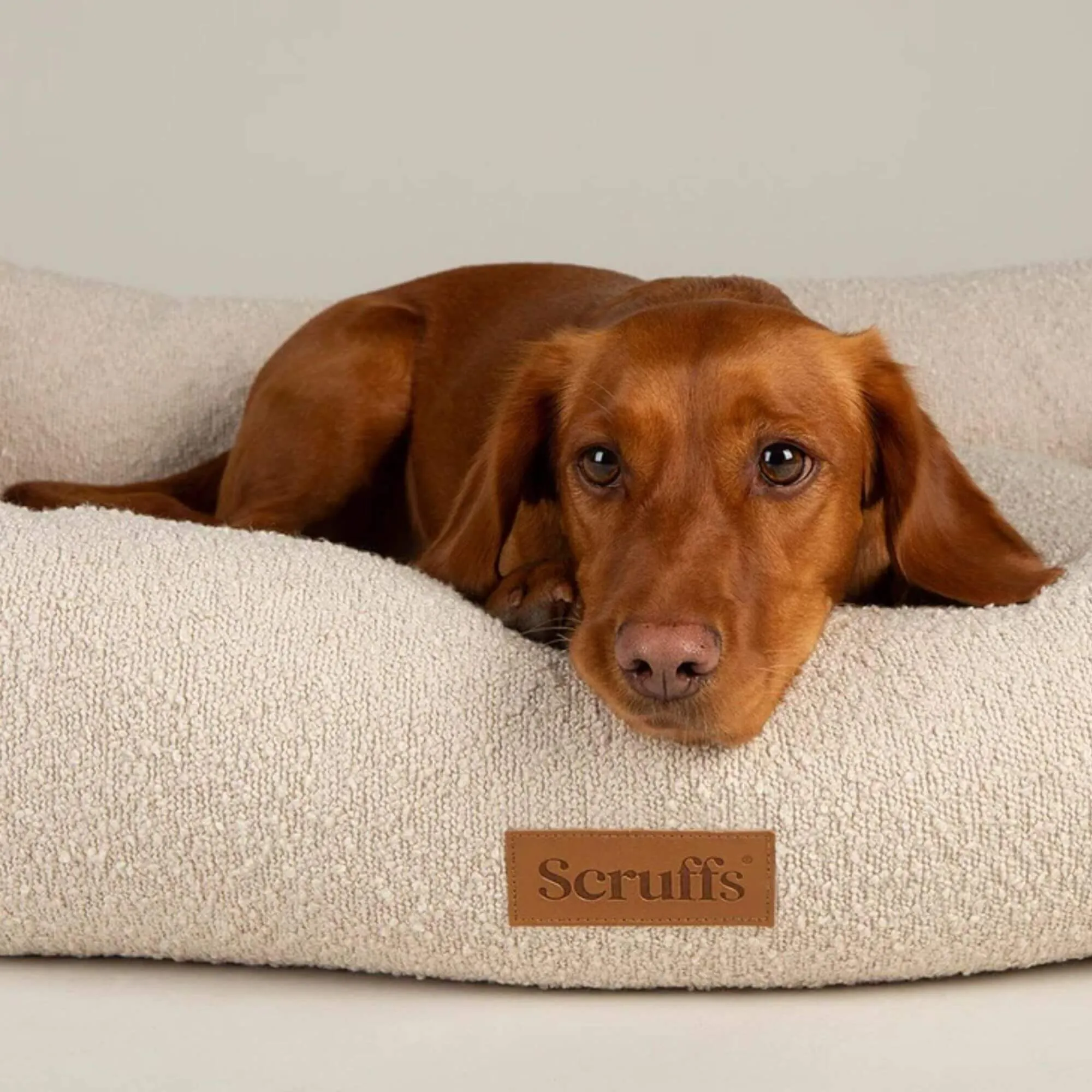 Scruffs Boucle Box Dog Bed