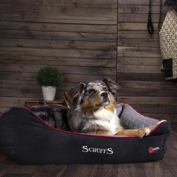 Scruffs Thermal Self Heating Box Bed