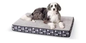 Superior Orthopedic Bed